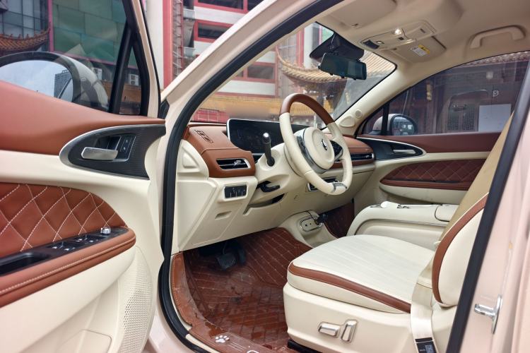 Used ORA Good Cat 2023 401 km Standard Range Luxury Version Lithium Iron Phosphate