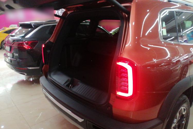 Used Haval DARGO 2021 2.0T DCT 4x4 Chinese Rural Dog Edition