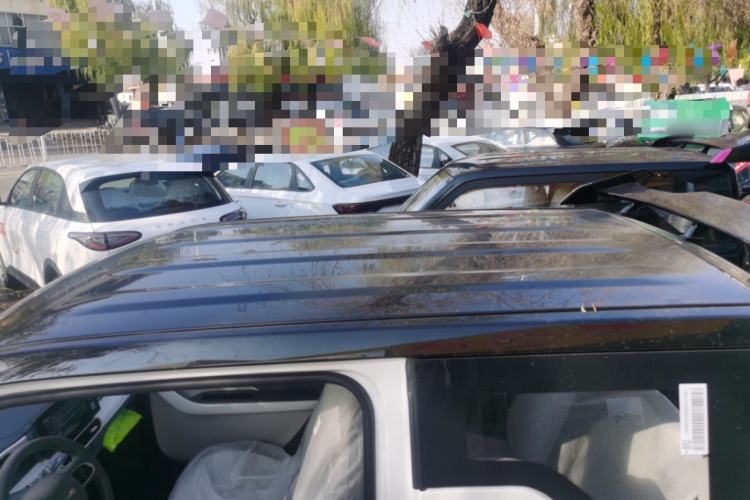 Used  Panda 2025 210km Panda Kart