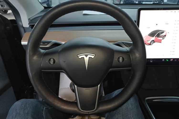 Used Tesla Model Y 2021 Long-Range All-Wheel-Drive Version
