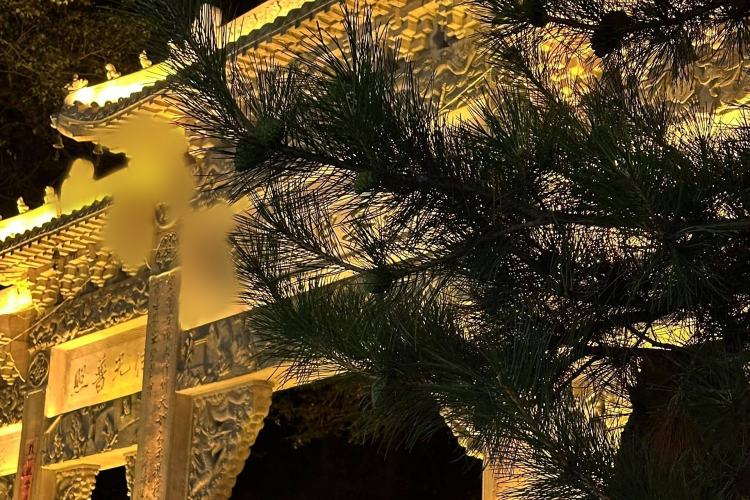 Used Great Wall Wingle 5 2023 2.4L Gasoline 4x4 Entry-Level Big Double
