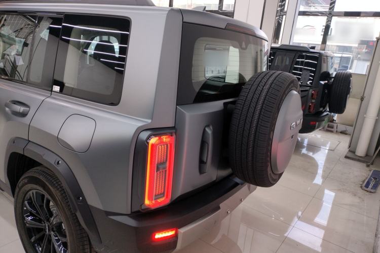 Used Haval Raptor New Energy 