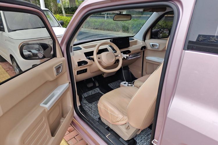 Used  Panda 2023 Panda Mini 200km Endurance Bear