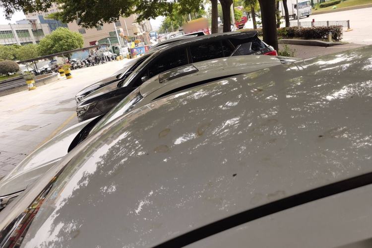 Used Baojun RM-5 2019 1.5T CVT Elite Version with 24-Hour Online Service 7 Seats
