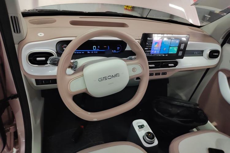 Used  Panda 2025 210 km – Yuanqi Bear
