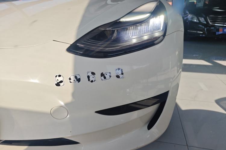 Used Tesla Model 3 2020 Standard Range Rear-Wheel Drive Upgraded Version