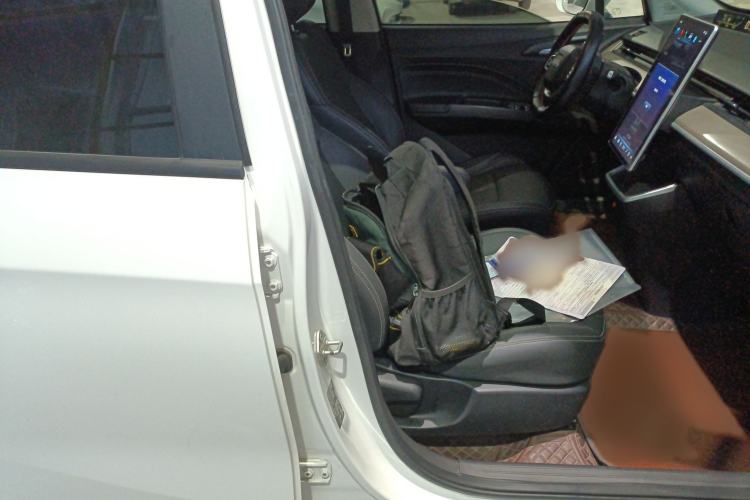 Used NETA V 2021 Long-Range Entertainment Edition Upgrade Model
