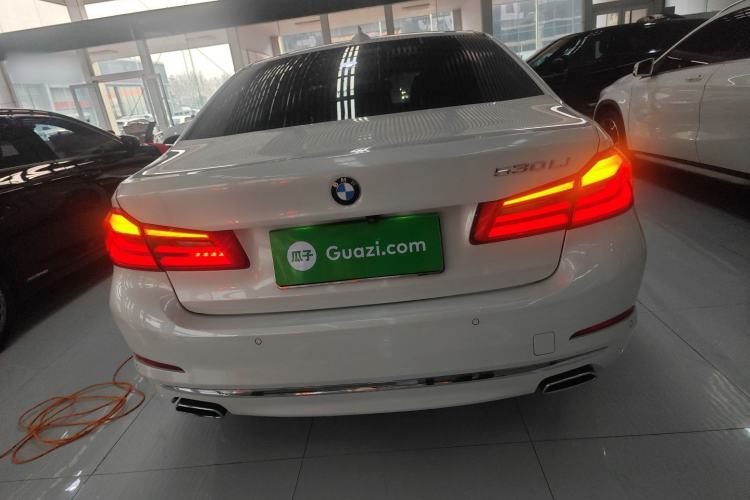 Used BMW 5 Series 2020 530Li Leading Edition Luxury Package
