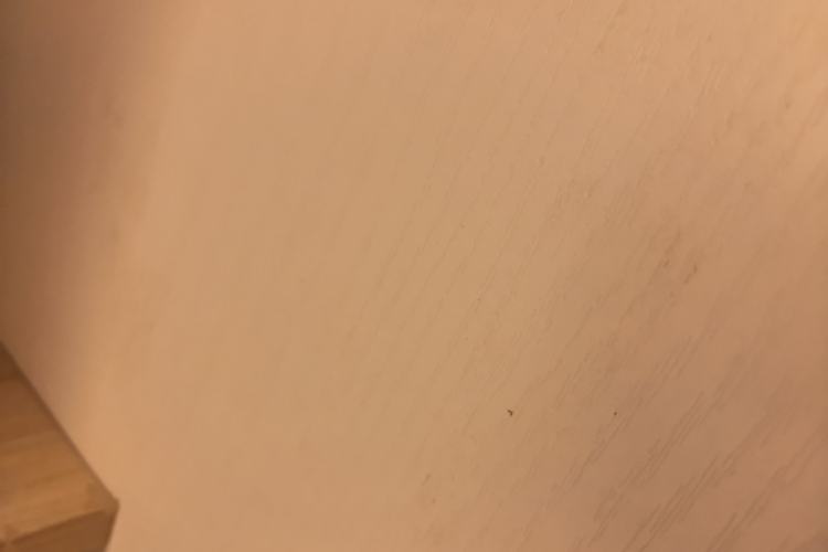 Used Volkswagen Teramont X 2023 380TSI Four-Wheel Drive Luxury Edition
