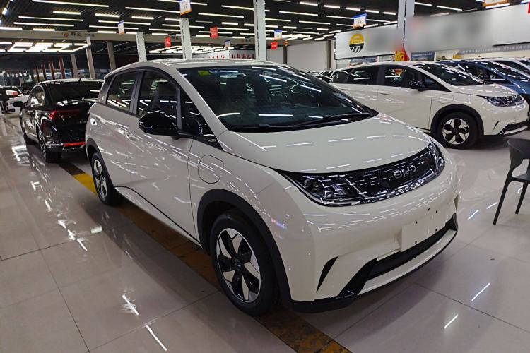 Used BYD Dolphin 2025 420km Free Edition
