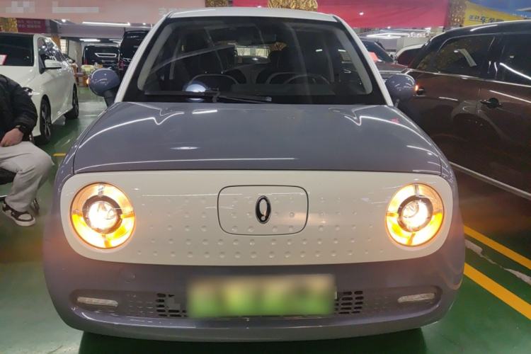 Used ORA Black Cat 2022 351 km Range Luxury Version Lithium-Ion Battery
