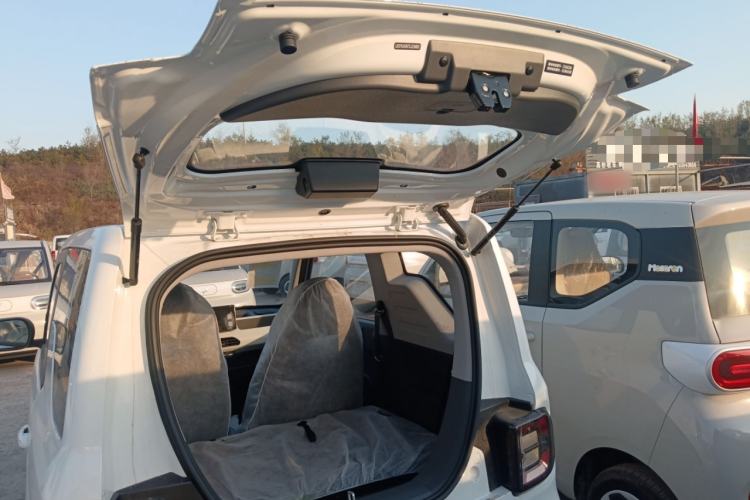 Used  Panda 2024 Panda Mini 200km Endurance Bear
