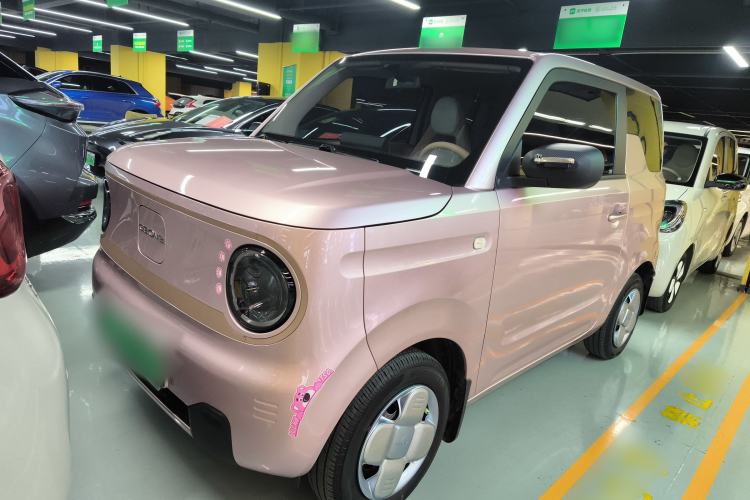 Used  Panda 2024 Panda Mini 200km Endurance Bear