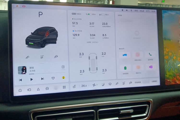 Used Li Auto L6 2024 Pro Model
