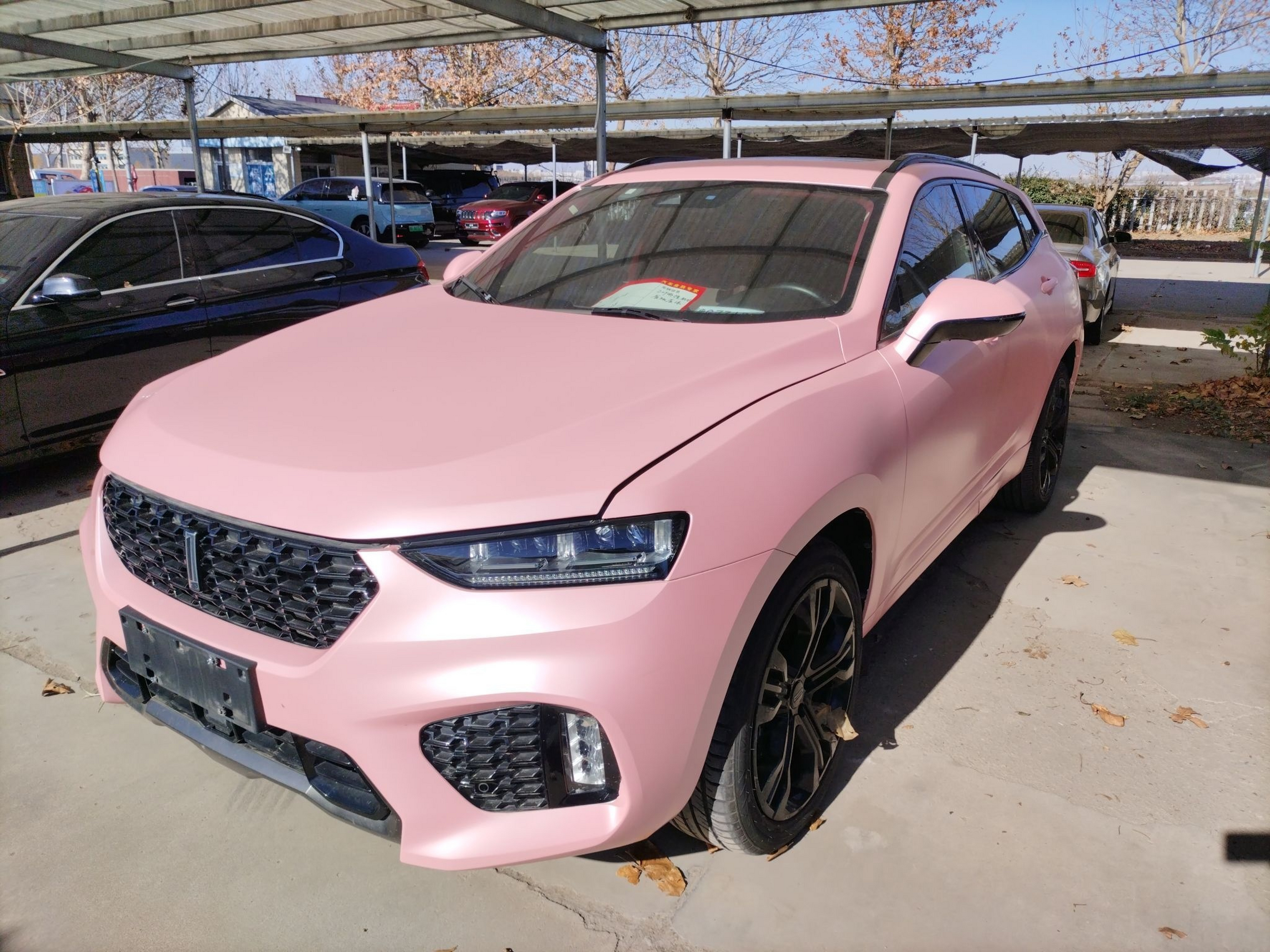 تحت مقدمة السيارة