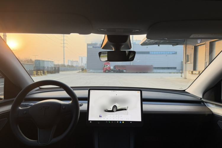 Used Tesla Model Y 2022 Rear-Wheel-Drive Version
