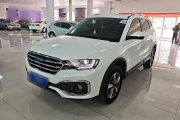 Used Haval H6 Coupe 2018 Blue Label 1.5T Automatic Two-Wheel Drive Luxury Model