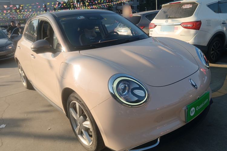 Used ORA Good Cat 2021 400km Standard Range Venus Edition Lithium-Ion Battery
