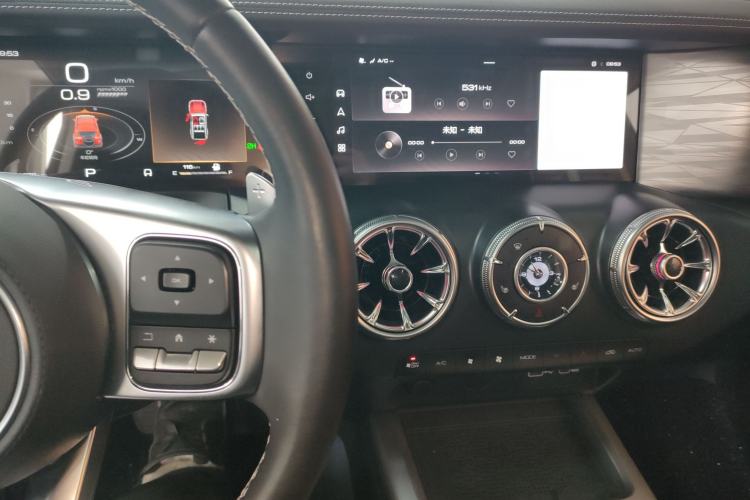 Used Tank 300 2024 2.0T Conqueror
