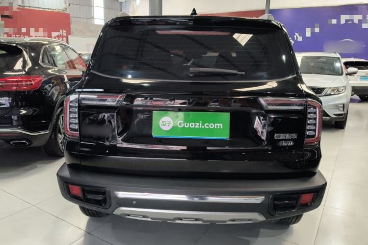 Used Haval DARGO 2022 2.0T DCT 4x4 Chinese Rural Dog Edition
