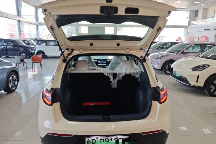 Used  Geome 2025 310km Youth Edition
