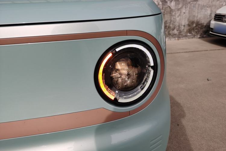 Used  Panda 2024 Panda Mini 200km Endurance Bear
