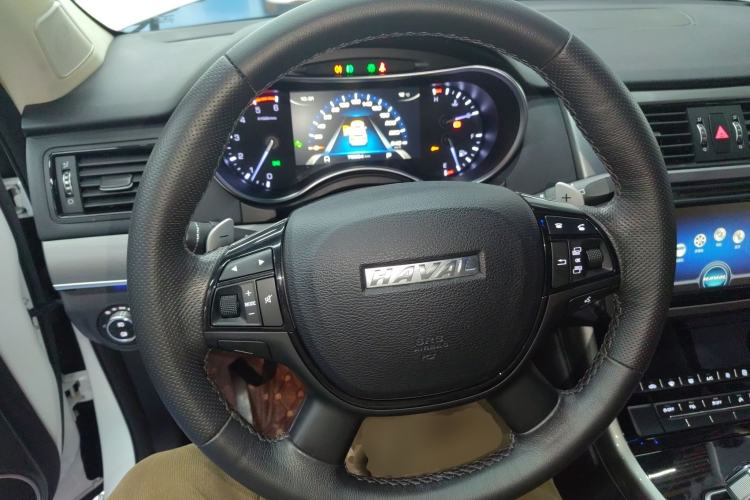 Used Haval H8 2017 2.0T Diesel Two-Wheel Drive Smart Edition
