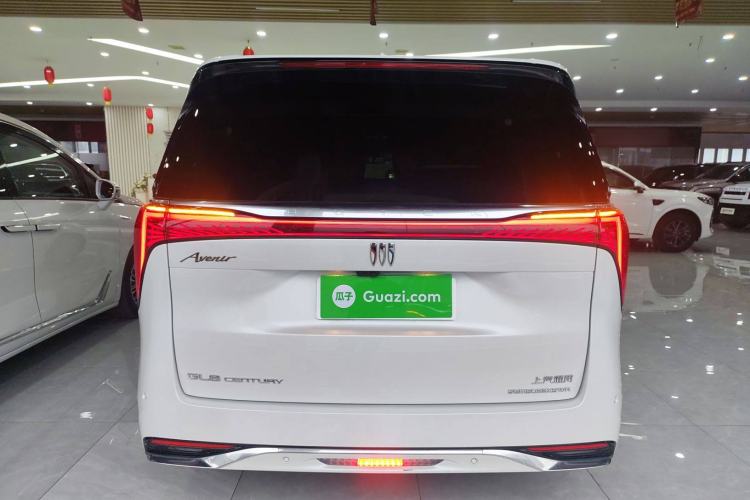 Used Buick Century 2023 2.0T Four-Seat Private Edition
