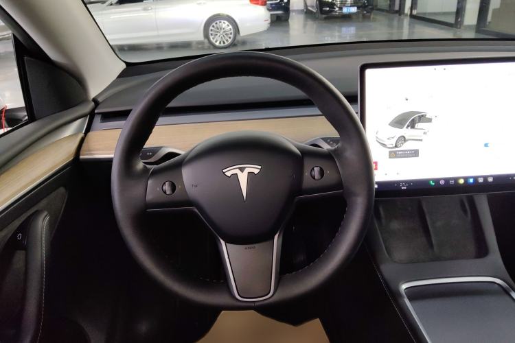 Used Tesla Model Y 2021 Standard Range Rear-Wheel Drive Version
