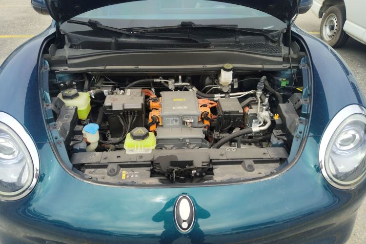 Used ORA Good Cat 2023 401 km Standard Range Luxury Version Lithium Iron Phosphate
