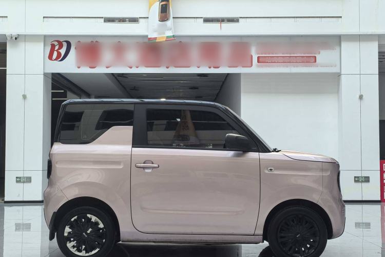 Used  Panda 2023 Panda Mini 200km Dynamic Bear
