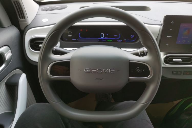 Used  Panda 2025 210 km – Yuanqi Bear
