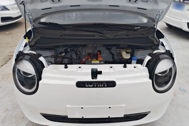 Used  Lumin 2025 205 km Xiangqin Version