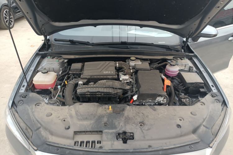 Used BYD Qin PLUS 2024 HONOR Edition DM-i 55KM Leading Model
