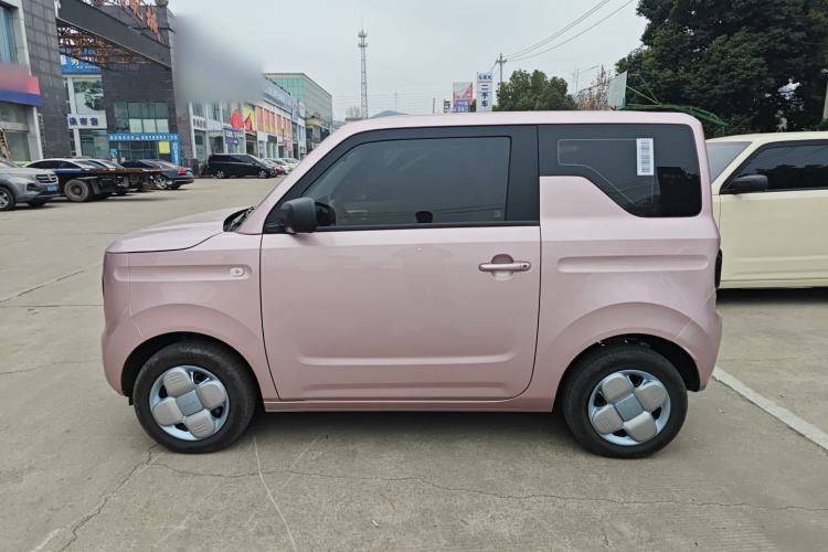 Used  Panda 2024 Panda Mini 200km Endurance Bear