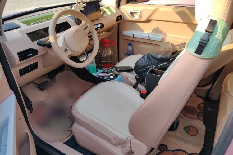 Used  Panda 2023 Panda Mini 200km Dynamic Bear