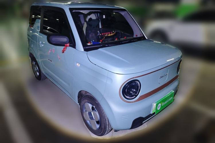Used  Panda 2024 Panda Mini 200km Endurance Bear