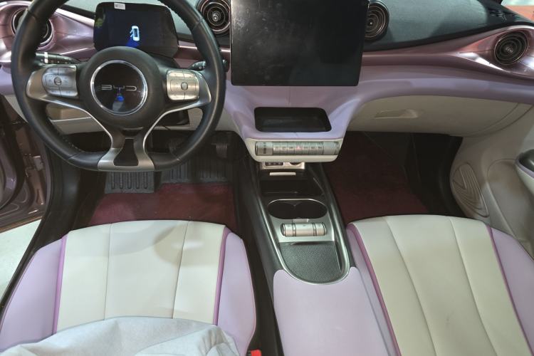 Used BYD Dolphin 2021 405 km Free Version
