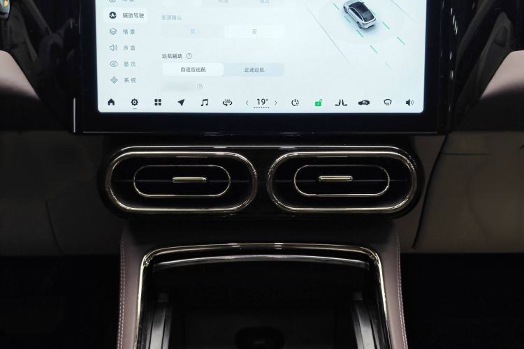 Used Leapmotor C11 2021 Performance Edition
