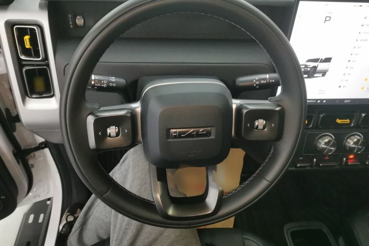 Used  V23 2025 501 Four-Wheel Drive Advanced Version
