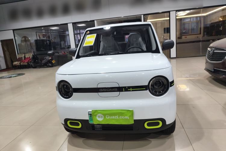 Used  Panda 2025 210 km – Yuanqi Bear
