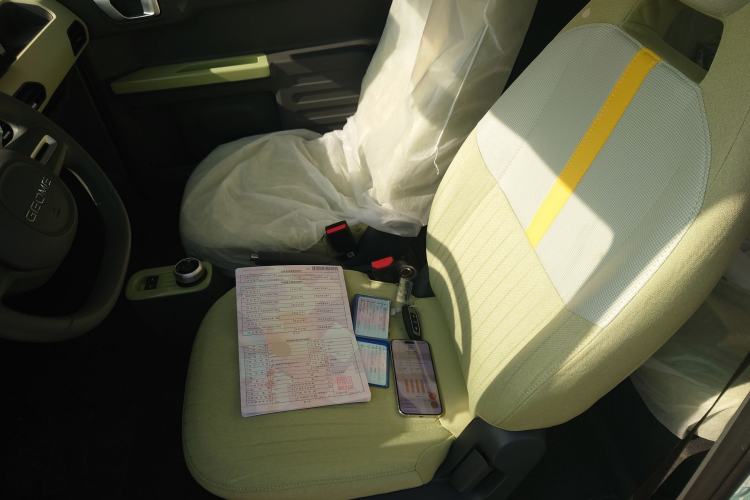 Used  Panda 2024 Panda Mini 200km Endurance Bear
