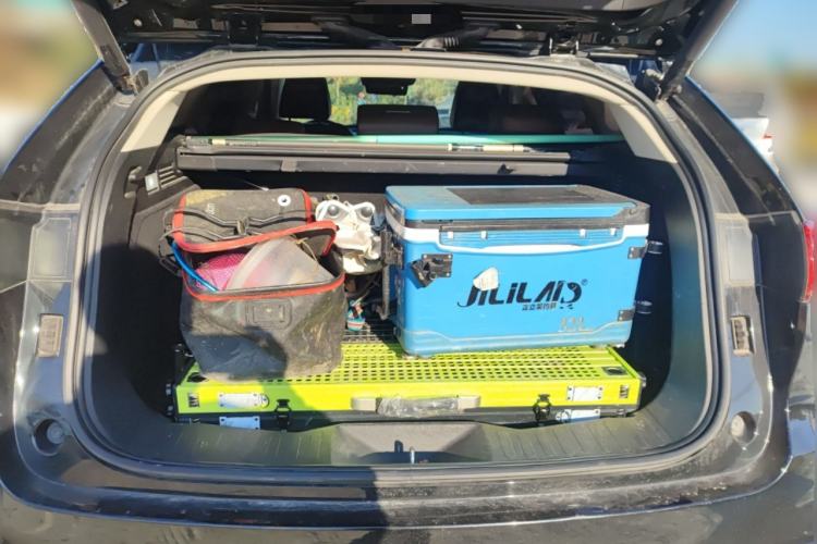 Used Wey VV7 2021 2.0T Technology Edition
