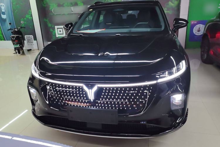 Used VOYAH COURAGE 2024 Four-Wheel Drive Global Edition
