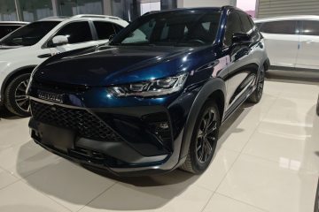 Used Haval H6S 2022 2.0T Two-Wheel Drive ZhiRun Version