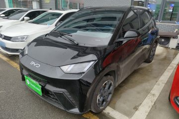 Used BYD Seagull 2025 305 km Free Version