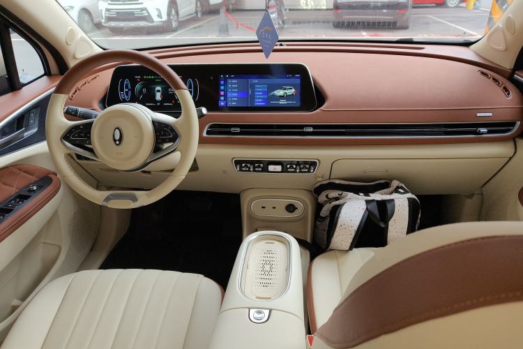 Used ORA Good Cat 2023 401 km Standard Range Luxury Version Lithium Iron Phosphate
