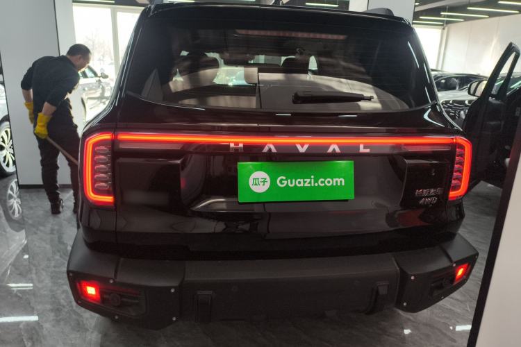 Used Haval DARGO 2024 2.0T DCT Chinese Rural Dog Edition
