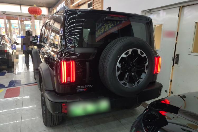 Used Tank 300 New Energy 2025 Hi4-T
