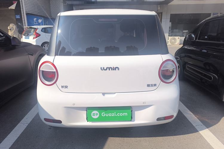 Used  Lumin 2023 205km Xiangqin Version
